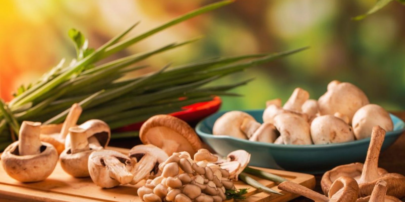 Benefits-of-mushroom-supplements-for-stress-Various-mushroom-supplements-on-a-wooden-table.